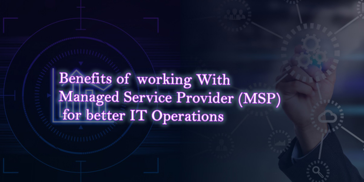 Managed Service Provider (MSP)